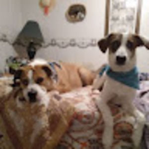 Meet your Posher, Christy